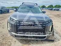 2025 Hyundai Palisade фото