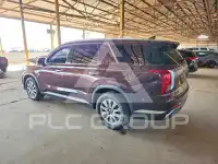 2025 Hyundai Palisade фото