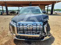2025 Hyundai Palisade фото