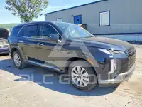 2025 Hyundai Palisade photo