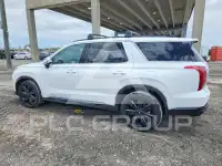 2025 Hyundai Palisade фото