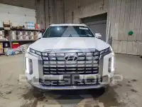 2025 Hyundai Palisade фото