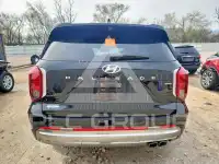 2025 Hyundai Palisade фото