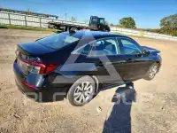 2026 Honda CIVIC photo