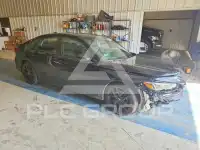 2026 Honda CIVIC photo