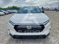 2026 Honda CR-V photo
