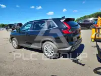 2026 Honda CR-V photo