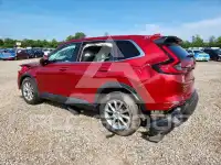2026 Honda CR-V photo