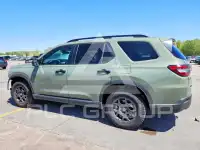 2026 Honda PILOT фото