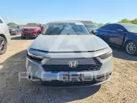 2026 Honda Accord photo