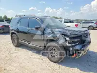 2026 Honda PASSPORT photo