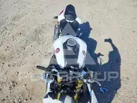 2026 Honda CBR photo