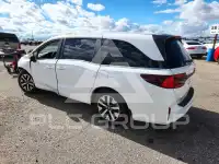 2026 Honda ODYSSEY photo