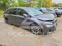 2026 Honda ODYSSEY фото