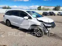 2026 Honda ODYSSEY photo