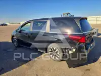 2026 Honda ODYSSEY фото