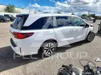 2026 Honda ODYSSEY photo