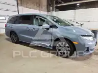 2026 Honda ODYSSEY фото
