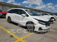2026 Honda ODYSSEY фото