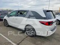 2026 Honda ODYSSEY фото