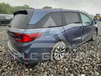 2026 Honda ODYSSEY фото