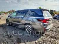 2026 Honda ODYSSEY photo