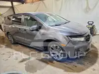 2026 Honda ODYSSEY фото
