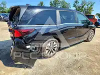 2026 Honda ODYSSEY фото