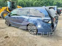 2026 Honda ODYSSEY фото