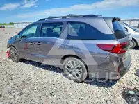2026 Honda ODYSSEY фото