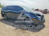 2026 Honda ODYSSEY фото