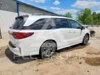 2026 Honda ODYSSEY фото