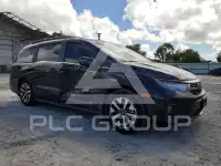 2026 Honda ODYSSEY фото