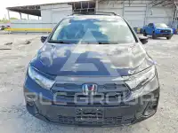2026 Honda ODYSSEY фото