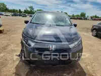 2026 Honda ODYSSEY фото
