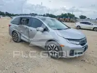 2026 Honda ODYSSEY фото