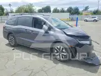 2026 Honda ODYSSEY фото