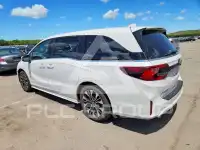 2026 Honda ODYSSEY фото