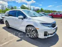 2026 Honda ODYSSEY фото