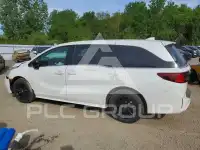 2026 Honda ODYSSEY фото
