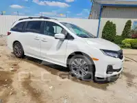 2026 Honda ODYSSEY фото