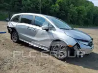 2026 Honda ODYSSEY фото