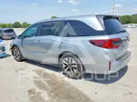 2026 Honda ODYSSEY фото