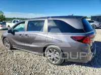 2026 Honda ODYSSEY фото