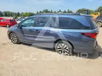 2026 Honda ODYSSEY photo