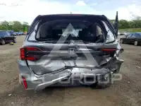 2026 Honda ODYSSEY фото