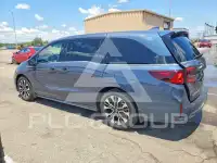 2026 Honda ODYSSEY фото