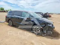 2026 Honda ODYSSEY фото