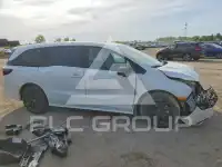 2026 Honda ODYSSEY фото