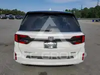 2026 Honda ODYSSEY фото